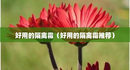 好用的隔离霜（好用的隔离霜推荐）
