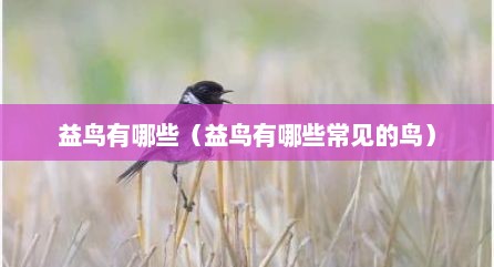 益鸟有哪些（益鸟有哪些常见的鸟）
