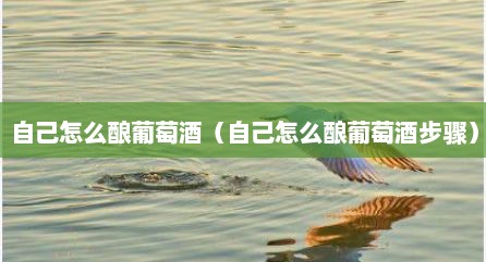 自己怎么酿葡萄酒（自己怎么酿葡萄酒步骤）