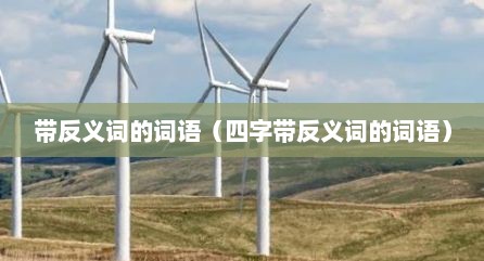 带反义词的词语（四字带反义词的词语）