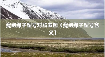瓷绝缘子型号对照表图（瓷绝缘子型号含义）