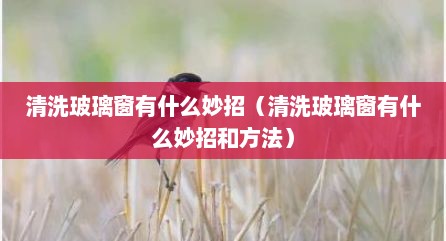清洗玻璃窗有什么妙招（清洗玻璃窗有什么妙招和方法）