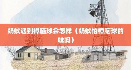 蚂蚁遇到樟脑球会怎样（蚂蚁怕樟脑球的味吗）