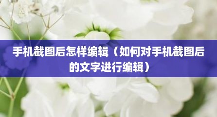 手机截图后怎样编辑（如何对手机截图后的文字进行编辑）