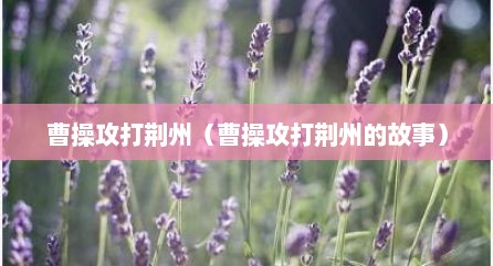 曹操攻打荆州（曹操攻打荆州的故事）