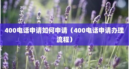 400电话申请如何申请（400电话申请办理流程）