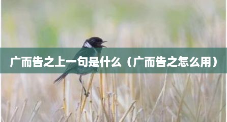广而告之上一句是什么（广而告之怎么用）