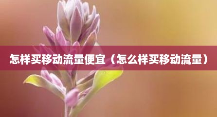 怎样买移动流量便宜（怎么样买移动流量）