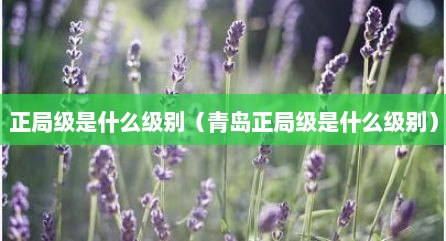 正局级是什么级别（青岛正局级是什么级别）