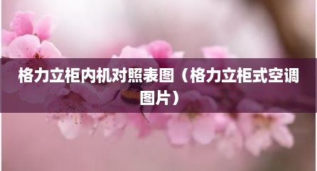 格力立柜内机对照表图（格力立柜式空调图片）