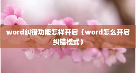 word纠错功能怎样开启（word怎么开启纠错模式）