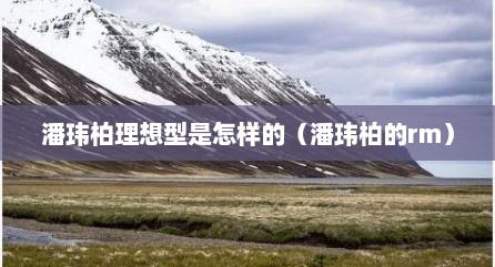 潘玮柏理想型是怎样的（潘玮柏的rm）