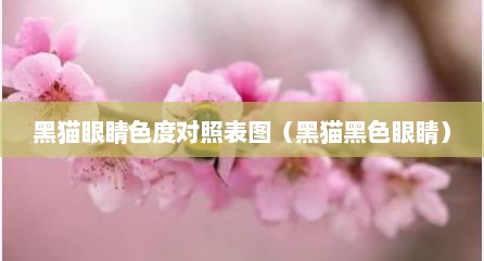 黑猫眼睛色度对照表图（黑猫黑色眼睛）