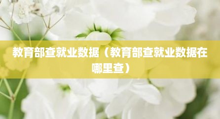 教育部查就业数据（教育部查就业数据在哪里查）