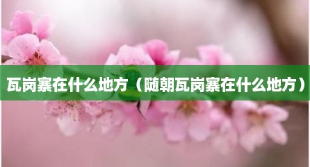 瓦岗寨在什么地方（随朝瓦岗寨在什么地方）