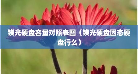 镁光硬盘容量对照表图（镁光硬盘固态硬盘行么）