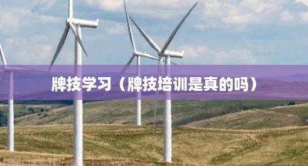 牌技学习（牌技培训是真的吗）