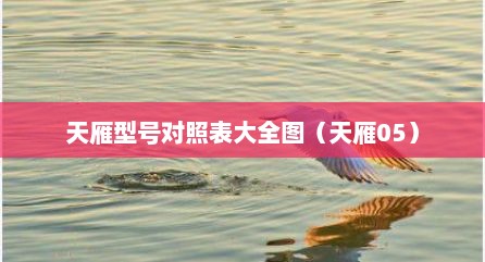 天雁型号对照表大全图（天雁05）