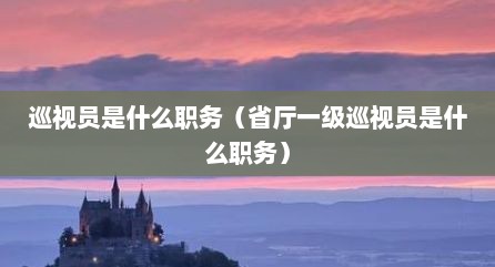 巡视员是什么职务（省厅一级巡视员是什么职务）