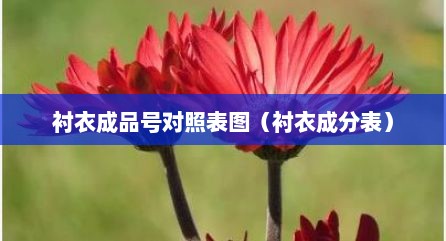 衬衣成品号对照表图（衬衣成分表）