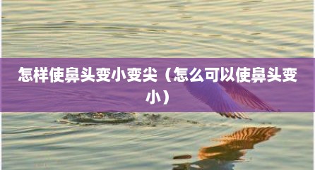 怎样使鼻头变小变尖（怎么可以使鼻头变小）
