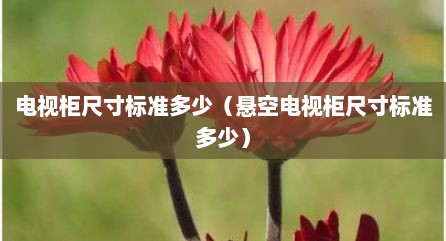 电视柜尺寸标准多少（悬空电视柜尺寸标准多少）