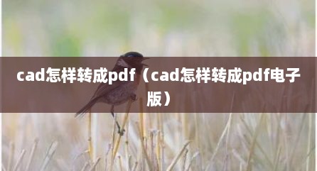 cad怎样转成pdf（cad怎样转成pdf电子版）