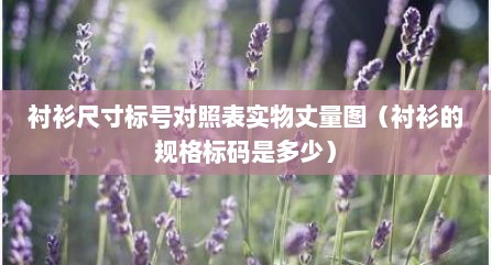 衬衫尺寸标号对照表实物丈量图（衬衫的规格标码是多少）