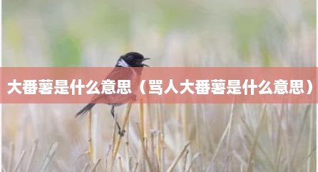 大番薯是什么意思（骂人大番薯是什么意思）