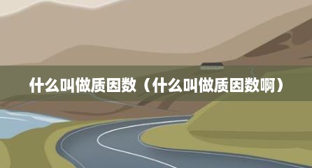 什么叫做质因数（什么叫做质因数啊）