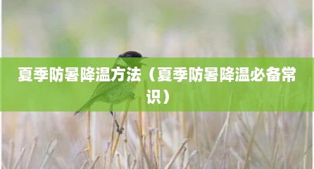 夏季防暑降温方法（夏季防暑降温必备常识）