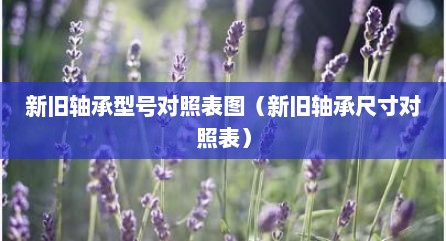 新旧轴承型号对照表图（新旧轴承尺寸对照表）