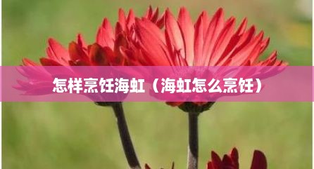 怎样烹饪海虹（海虹怎么烹饪）