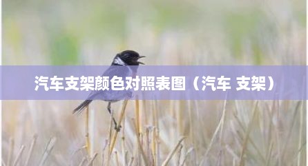 汽车支架颜色对照表图（汽车 支架）