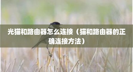 光猫和路由器怎么连接（猫和路由器的正确连接方法）
