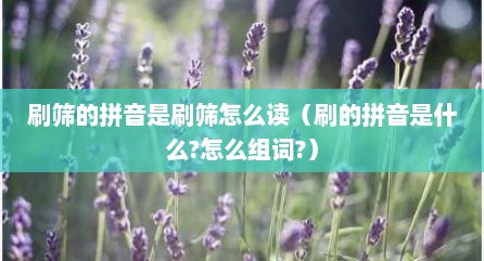 刷筛的拼音是刷筛怎么读（刷的拼音是什么?怎么组词?）