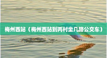 梅州西站（梅州西站到丙村坐几路公交车）
