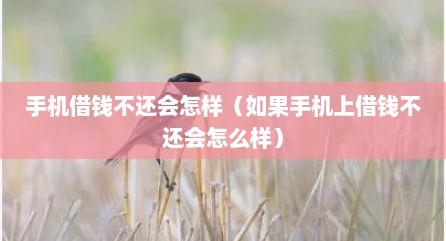 手机借钱不还会怎样（如果手机上借钱不还会怎么样）