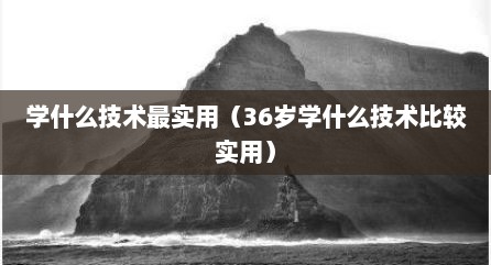 学什么技术最实用（36岁学什么技术比较实用）