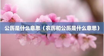 公历是什么意思（农历和公历是什么意思）