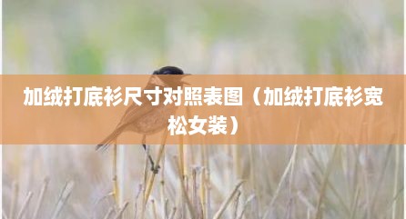 加绒打底衫尺寸对照表图（加绒打底衫宽松女装）