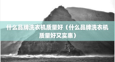 什么品牌洗衣机质量好（什么品牌洗衣机质量好又实惠）