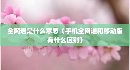 全网通是什么意思（手机全网通和移动版有什么区别）