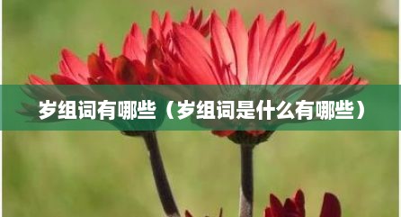 岁组词有哪些（岁组词是什么有哪些）
