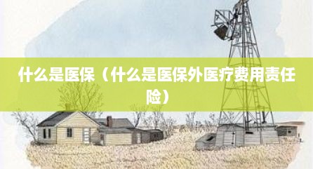 什么是医保（什么是医保外医疗费用责任险）