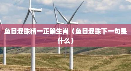 鱼目混珠猜一正确生肖（鱼目混珠下一句是什么）