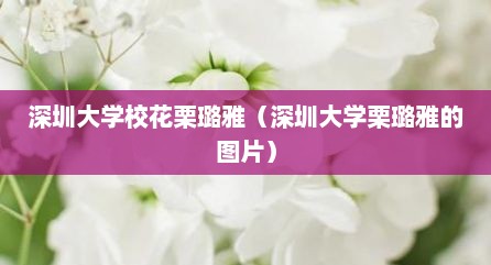 深圳大学校花栗璐雅（深圳大学栗璐雅的图片）