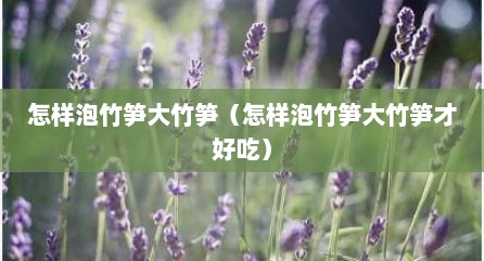 怎样泡竹笋大竹笋（怎样泡竹笋大竹笋才好吃）