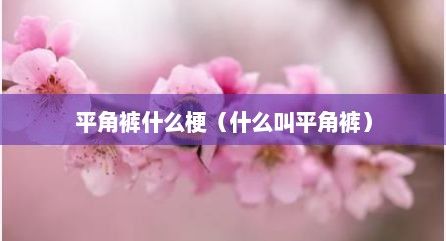 平角裤什么梗（什么叫平角裤）