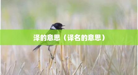 泽的意思（译名的意思）